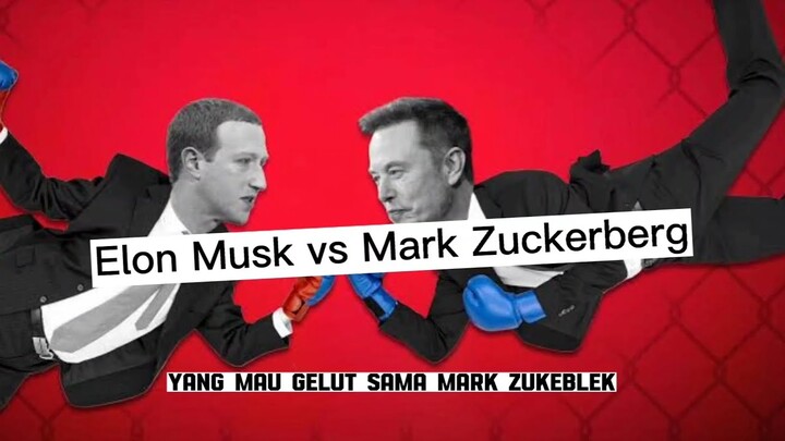 Orang kaya mau berantem, elon musk vs mark zuckerberg - berita wibu.