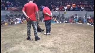 matira matibay to. para champion