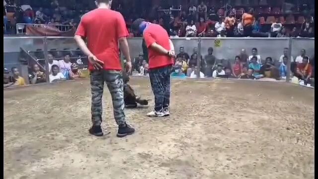 matira matibay to. para champion