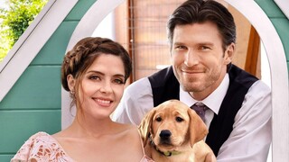 Love Unleashed 2019 Hallmark 720p HDTV X264 Solar