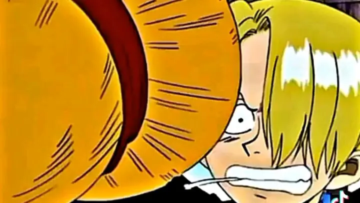 Just Zoro Being Zoro With Luffy 33 Bilibili