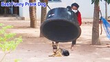 Very Funny Plastic Box & handmade Basket Prank on Dog