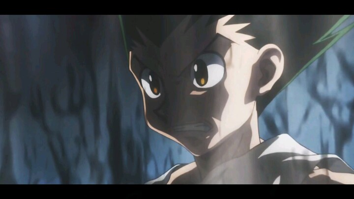 HUNTER X HUNTER