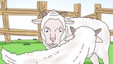 len cừu