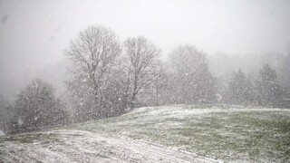 snowy landscape