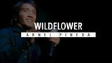 Wildflower - Skylark (Arnel Pineda Cover)