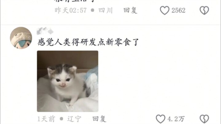 小时候以为大人装的，长大后才发现是真不喜欢吃零食了