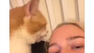 猫言狗语