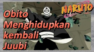 Obito Menghidupkan kembali Juubi