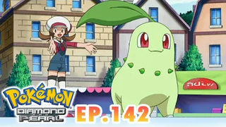 Pokémon Diamond and Pearl EP142 งานเทศกาลโจโตะ เปิดตัวชิโคริตากับวานิโนโกะ Pokémon Thailand