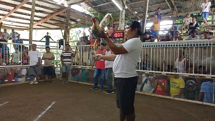 1st Fight 2 wins in Carmen Bohol