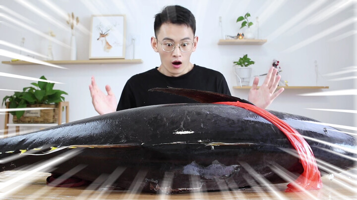 Spent over 3,000 yuan for a whole yellow fin tuna