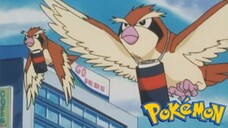 Pokémon Tập 166: Poppo Đưa Thư Qua Hãng Vận Chuyển Poppo! (Lồng Tiếng)