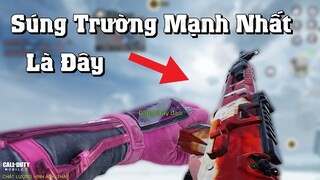 Call of Duty Mobile | ASM10 Season 5 Dame Chỉ Thua MOW - Xứng Đáng Là Cây Súng Trường Mạnh Nhất