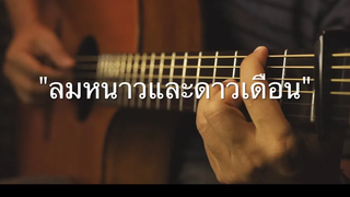 ลมหนาวและดาวเดือน - ปนัดดา Fingerstyle Guitar Cover (TAB)