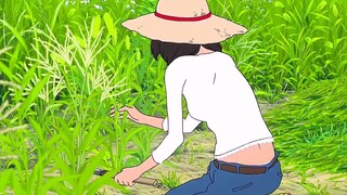 Ai thích Hayao Miyazaki nhất định phải có một mảnh đất thuần khiết sâu thẳm trong tim #宫尊玲#