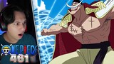 WHITEBEARD ENTERS MARINEFORD | One Piece Episode 461 Reaction