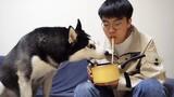 [Hewan]Bahkan hewan peliharaan melarikan diri dari makanan bau