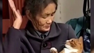 猫：这就是来自长辈的爱吗！