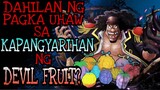 Ang Totoong Plano Ni BlackBeard Sa Mga Devil Fruits?? | One Piece | Theory