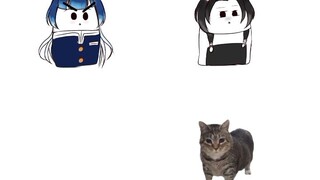 Yuri di kejar kucing Akmal 🐈‍⬛😈