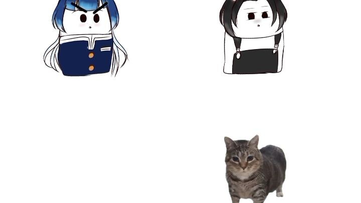 Yuri di kejar kucing Akmal 🐈‍⬛😈