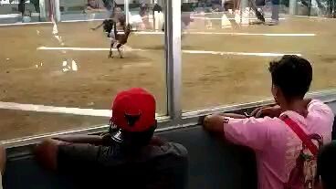 win again notorious gf