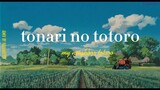 tonari no totoro AMV - [remember our summer]