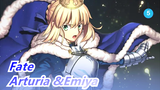 Fate|【Review】Love story of Arturia &Emiya -Part I_5