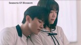 Seasons Of Blossom 🌸 Episode 16_Finale