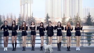 มีรางวัลตอบคำถามสำหรับคำตอบที่ถูกต้อง และเธอจะได้รับรางวัลเป็นข้อมูลติดต่อของเธอ ด้านล่างมีขาเปล่ากี
