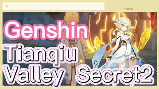 Tianqiu Valley Secret 2