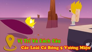 Vị Trí Và Cách Câu Những Con Cá Quý Hiếm Có Vương Miện | Play Together