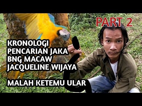 KRONOLOGI JAKA PART 2 (AWAS JANGAN SALAH HIPOTESA) TONTON DULU DETAILNYA