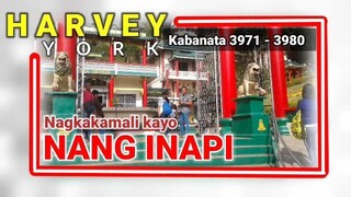 Nagkakamali kayo ng INAPI ( 3971 - 3980 )