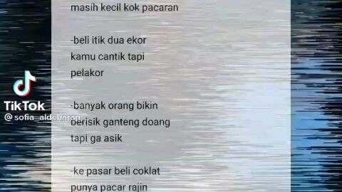 pantun buat nyindir guys,