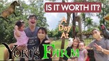 A DAY AT YOKI'S FARM ( IS IT WORTH IT? ) | BEST VLOG AT YOKI'S FARM