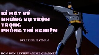 Tóm tắt phim Batman: Ai là người đã đứng sau kế hoạch nhằm đổ tội cho Batman? #review #batman #anime