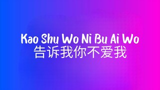 Kao Shu Wo Ni Bu Ai Wo (告诉我你不爱我) - Siau Kang - VC