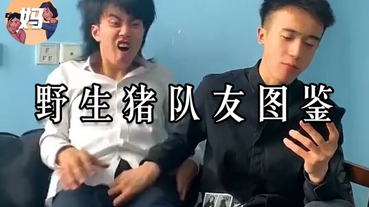 【野生人类观察】碰上你们这些猪队友我真是......谢谢你们嗷！