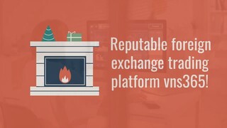 Reputable foreign exchange trading platform vns365!