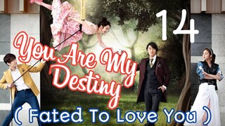You Are My Destiny Ep 14 Tagalog Dubbed HD