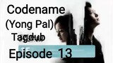 Codename Yong Pal Tagalog Dub Episode 13