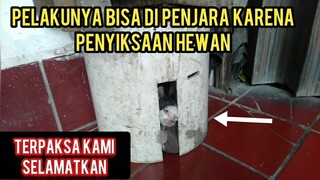 Anak Kucing Ini Menangis Minta Tolong Sampai Melambaikan Tangan Keluar Di Kurung sampai Kelaparan..!