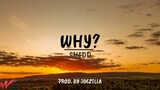SHIDD - WHY (Prod. By Joezilla) Lyrics