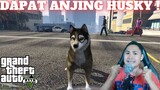 Cara Dapatkan Anjing Husky Di GTA V !