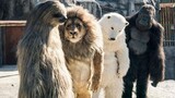 [Film]Secret Zoo: Ternyata Beruang Kutub Minum Cola!