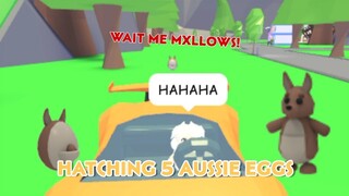 roblox: HATCHING 5 AUSSIE EGGS IN ADOPT ME! *i got legendary??*