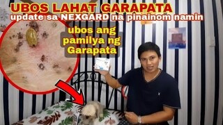 UPDATE SA ASO KONG PINAINOM NG Pantanggal garapata |NEXGARD REVIEW Part 2