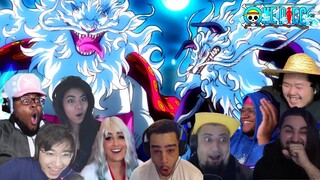 CAT VIPER & DOGSTORM SULONG FORM ONE PIECE EPISODE 1000 BEST REACTION COMPILATION